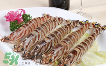 九節(jié)蝦多少錢(qián)一斤？九節(jié)蝦跟基圍蝦是一個(gè)品種嗎