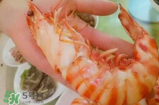九節(jié)蝦是海蝦嗎？九節(jié)蝦是海蝦還是河蝦