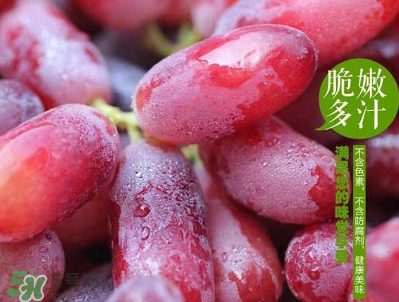 無籽紅提有涂避孕藥嗎？無籽紅提是轉(zhuǎn)基因嗎？