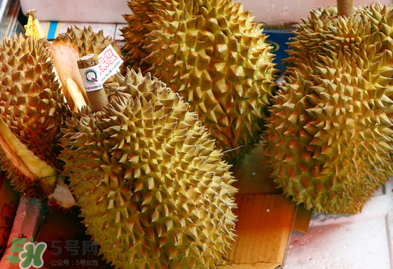 托曼尼榴蓮怎么才是熟？托曼尼榴蓮怎么看生熟？