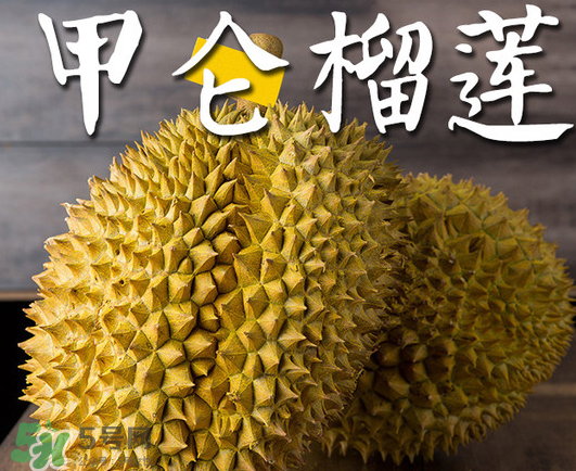 泰國甲倫榴蓮好吃嗎？甲倫榴蓮的特點(diǎn)