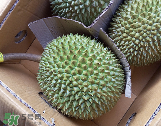 干堯榴蓮怎么樣算熟了？干堯榴蓮怎么挑選？