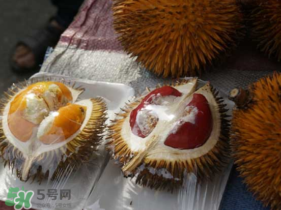 榴蓮核可以煲湯嗎？榴蓮核可以煲雞湯嗎？
