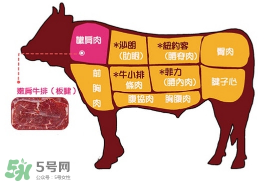 牛排是牛的哪個部位？牛排是牛身上哪塊肉？