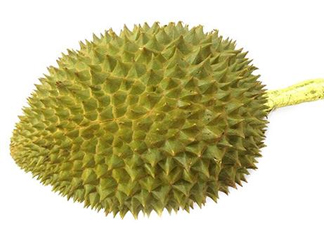托曼尼榴蓮多少錢？托曼尼榴蓮是哪里的？