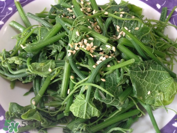 龍須菜怎么清洗？龍須菜怎么處理？