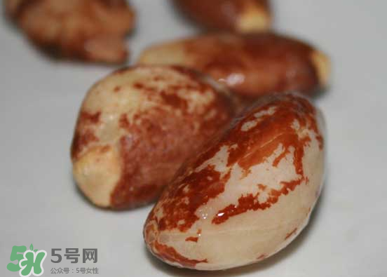 榴蓮核可以煲湯嗎？榴蓮核可以煲雞湯嗎？