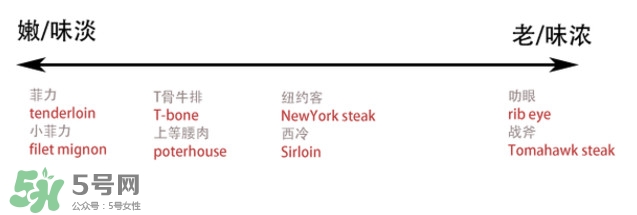 牛排是牛的哪個部位？牛排是牛身上哪塊肉？