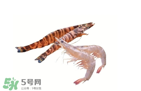 如何區(qū)分基圍蝦和竹節(jié)蝦？竹節(jié)蝦和基圍蝦的區(qū)別
