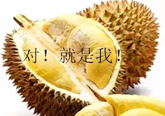 多大的小孩可以開始吃榴蓮？寶寶多大可以吃榴蓮？