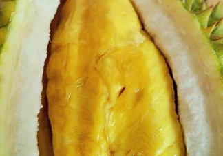 甲倫榴蓮幾月份成熟？泰國(guó)甲倫榴蓮多少錢(qián)一個(gè)？