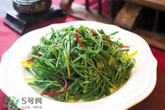 龍須菜是什么菜？龍須菜怎么吃？