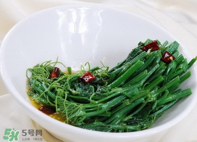 龍須菜是什么菜？龍須菜怎么吃？