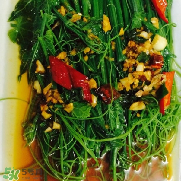 龍須菜怎么清洗？龍須菜怎么處理？