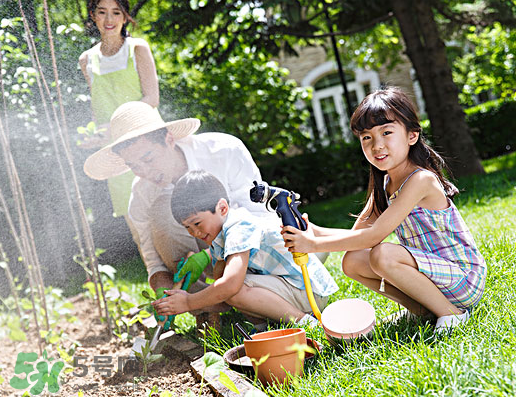 八月份可以種什么菜？八月份適合種植的蔬菜