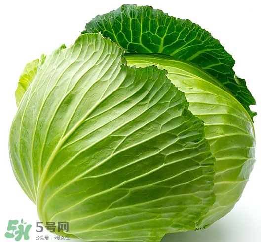 8月份吃什么蔬菜？八月份適合吃什么蔬菜？