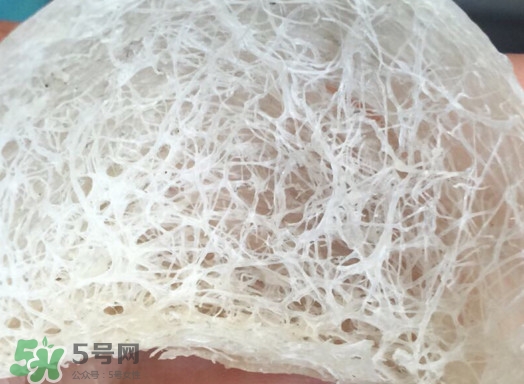 馬來西亞燕窩好還是印尼好？馬來西亞燕窩和印尼燕窩區(qū)別