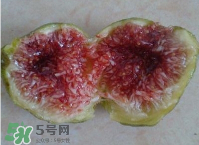 無(wú)花果是水果嗎？無(wú)花果是什么季節(jié)的水果