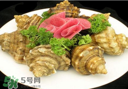 海螺可以冷凍嗎？海螺放冰箱能保存多久