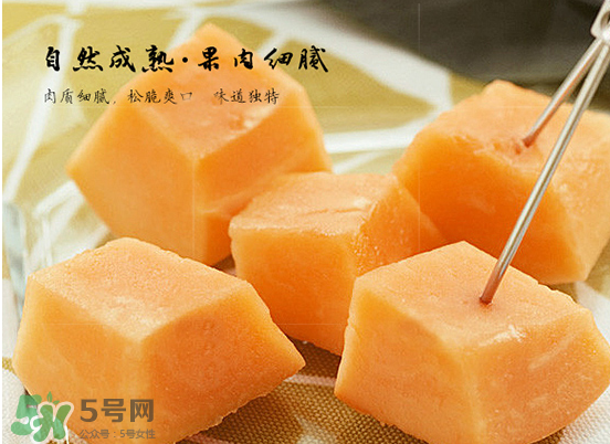 西州蜜瓜什么季節(jié)熟？西州蜜瓜幾月份成熟？