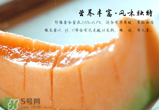 西州蜜瓜什么季節(jié)熟？西州蜜瓜幾月份成熟？