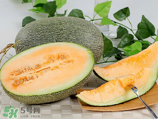 西州蜜瓜什么季節(jié)熟？西州蜜瓜幾月份成熟？