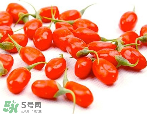枸杞鮮果能吃嗎？鮮枸杞好還是干枸杞好