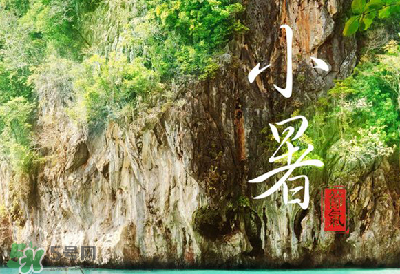 小暑是入伏嗎？小暑是不是入伏？