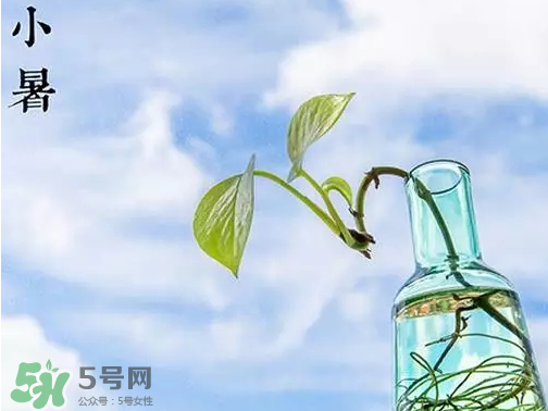 小暑是頭伏嗎？小暑是初伏嗎？
