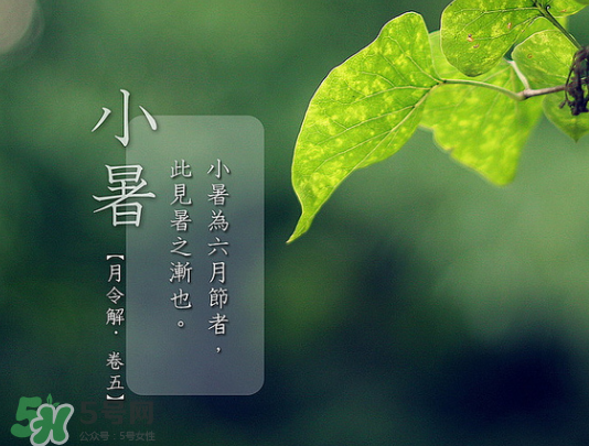2017年小暑會(huì)下雨嗎？小暑這一天下雨好嗎？