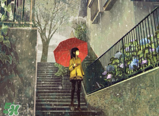 2017年小暑會(huì)下雨嗎？小暑這一天下雨好嗎？