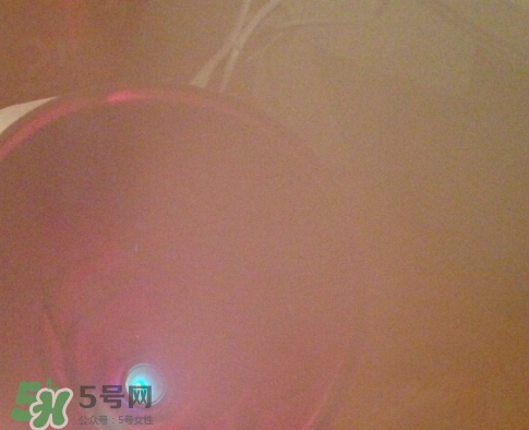 松下蒸臉器和金稻哪個好？松下蒸臉器和金稻蒸臉器對比