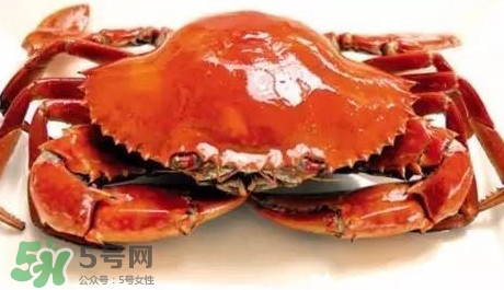 石夾紅螃蟹什么時(shí)候有？石夾紅螃蟹什么時(shí)候最肥