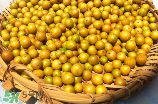 黃皮果是小金橘嗎？黃皮果和小金橘的區(qū)別