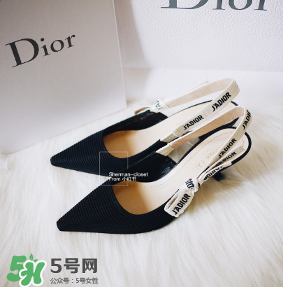 dior貓跟鞋多少錢？dior貓跟鞋價(jià)格
