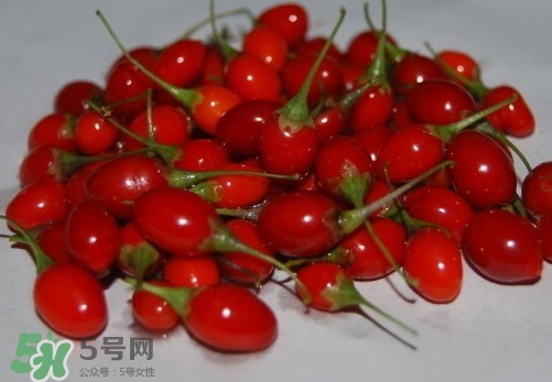 枸杞鮮果怎么吃？吃枸杞鮮果有什么好處