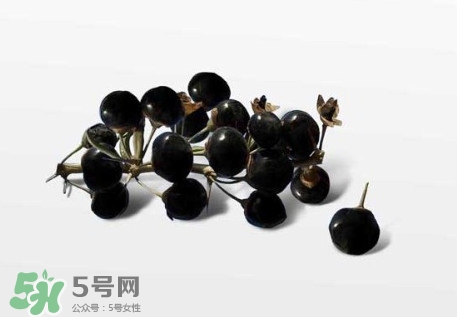 新鮮枸杞多少錢一斤？2017枸杞鮮果價格