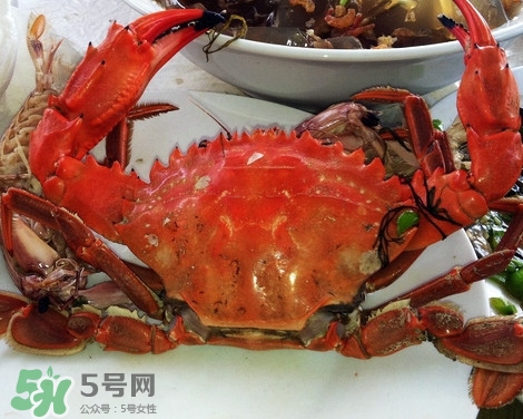 石夾紅螃蟹什么時(shí)候有？石夾紅螃蟹什么時(shí)候最肥