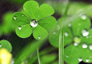 2017年小暑會下雨嗎？小暑這一天下雨好嗎？