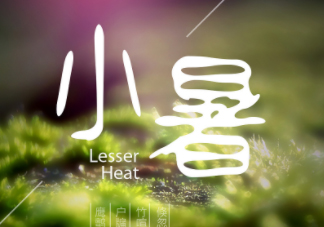 小暑是頭伏嗎？小暑是初伏嗎？