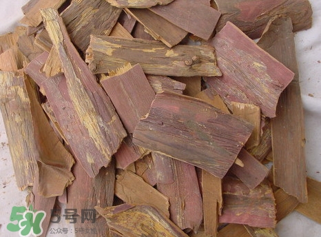 紅豆杉樹皮多少錢一斤？2017紅豆杉市場價