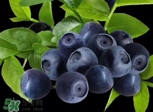 新鮮藍(lán)莓可以直接吃嗎？新鮮藍(lán)莓怎么吃才好吃？