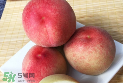 脆桃是什么品種？脆桃什么時候上市