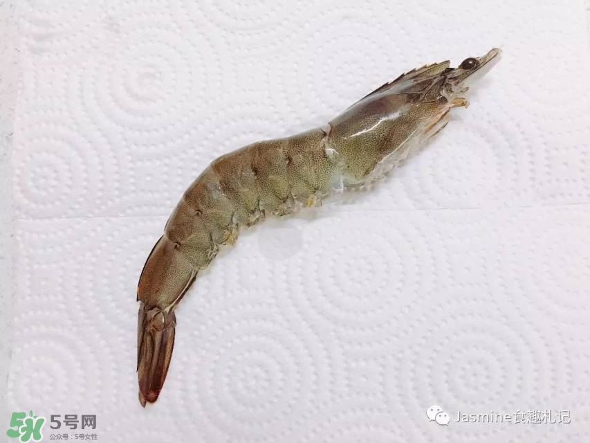 活基圍蝦怎么保存？活基圍蝦怎么處理干凈？