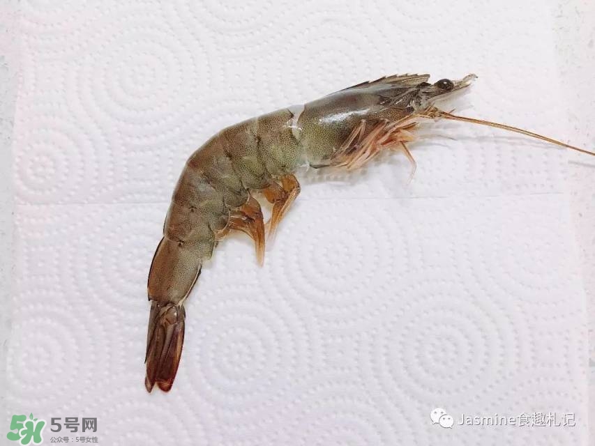活基圍蝦怎么保存？活基圍蝦怎么處理干凈？