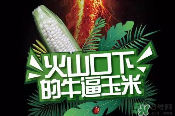 微玉冰糖玉米小孩可以吃嗎？微玉冰糖玉米營(yíng)養(yǎng)豐富嗎？