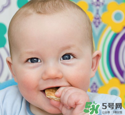 磨牙餅干吃不完怎么辦？磨牙餅干吃到多大？