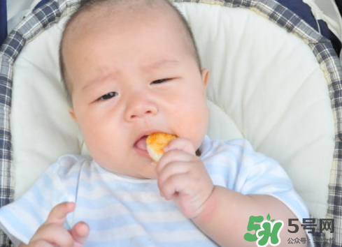 磨牙餅干吃不完怎么辦？磨牙餅干吃到多大？