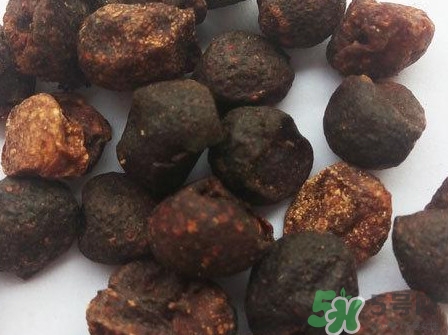 山黃皮的功效是什么？山黃皮的功效與作用
