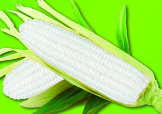 白玉米煮后變黃能吃嗎？白玉米為什么變黃了？